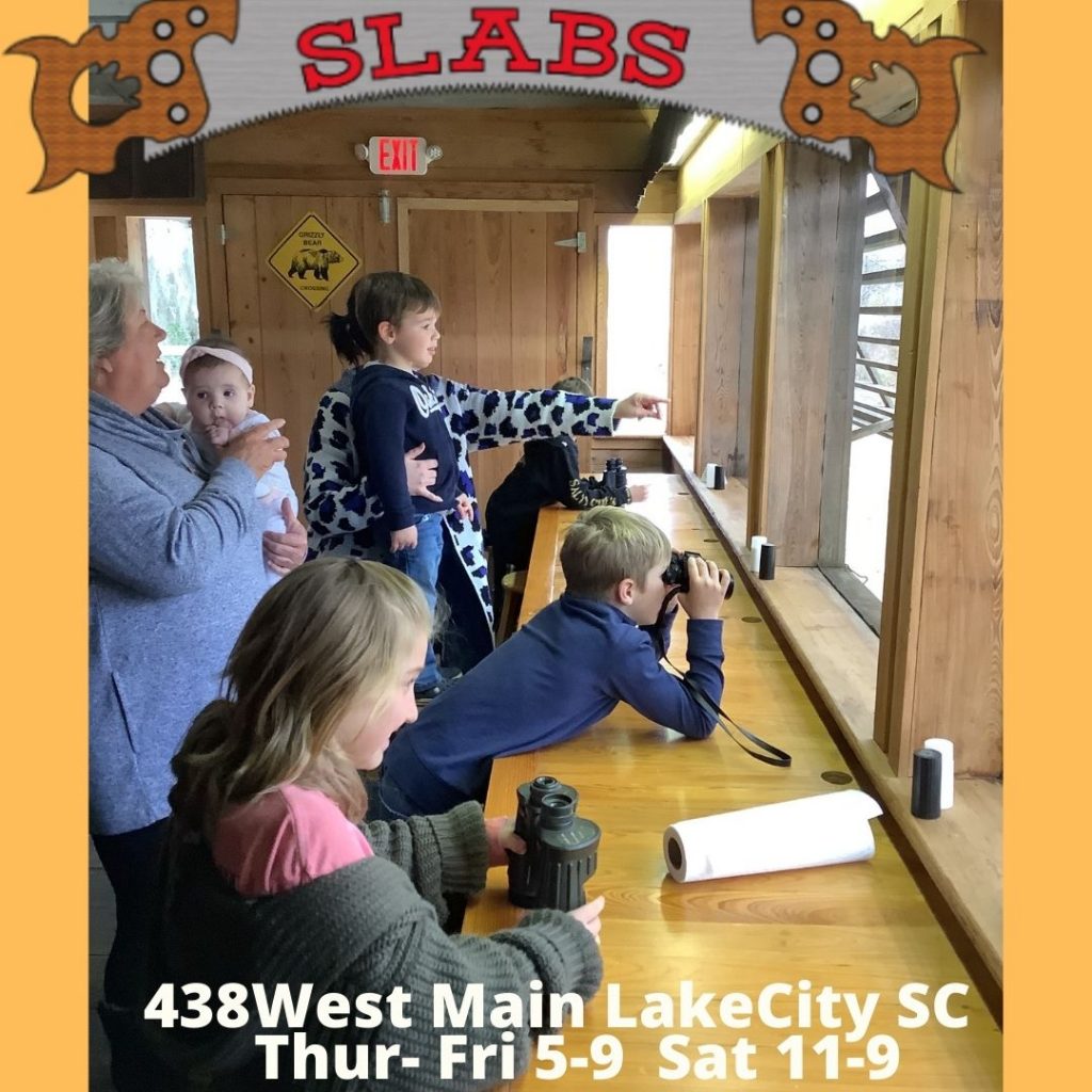 Child-friendly 5 star family restaurants fun itenerary nature places to go eat bbq lake city dining restarant near me nearby closeby location eagle watch feed ducks binoculars
