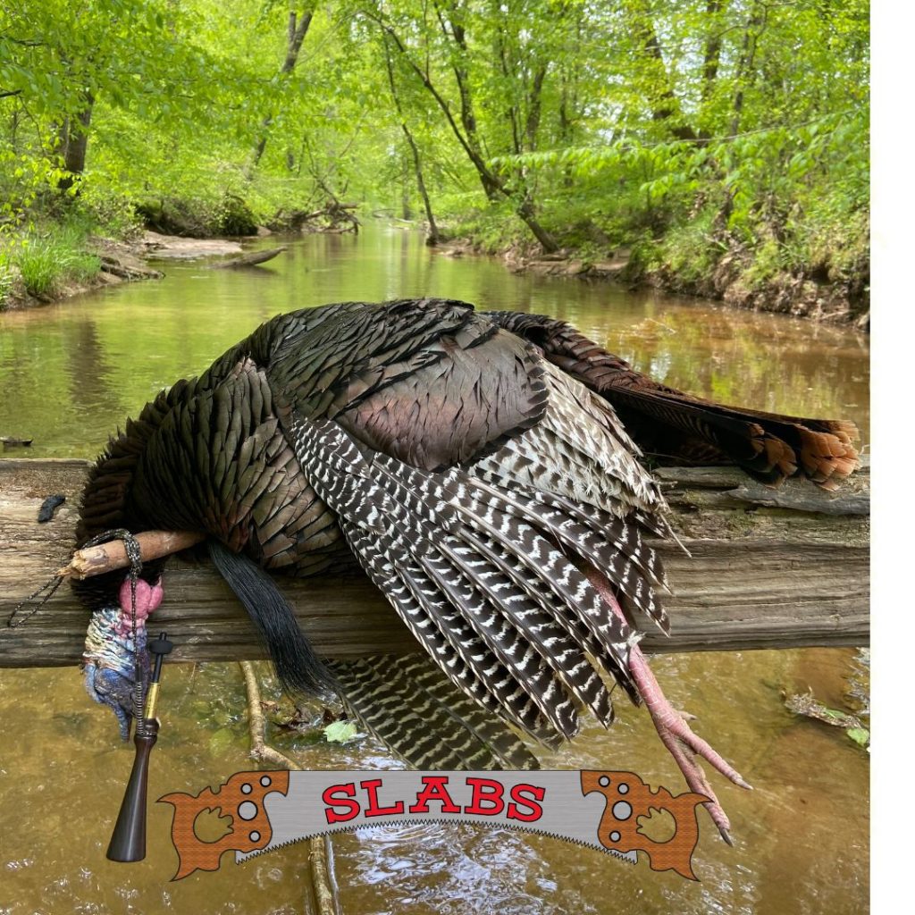 turkey hunting turkey calls turkey trumpet calls gobbler turkey trumpets hunters strutter longbeard tom Thanksgiving bird fowl wild turkey  old tom, mossback treehanger turkey hunt turkey season  NWTF